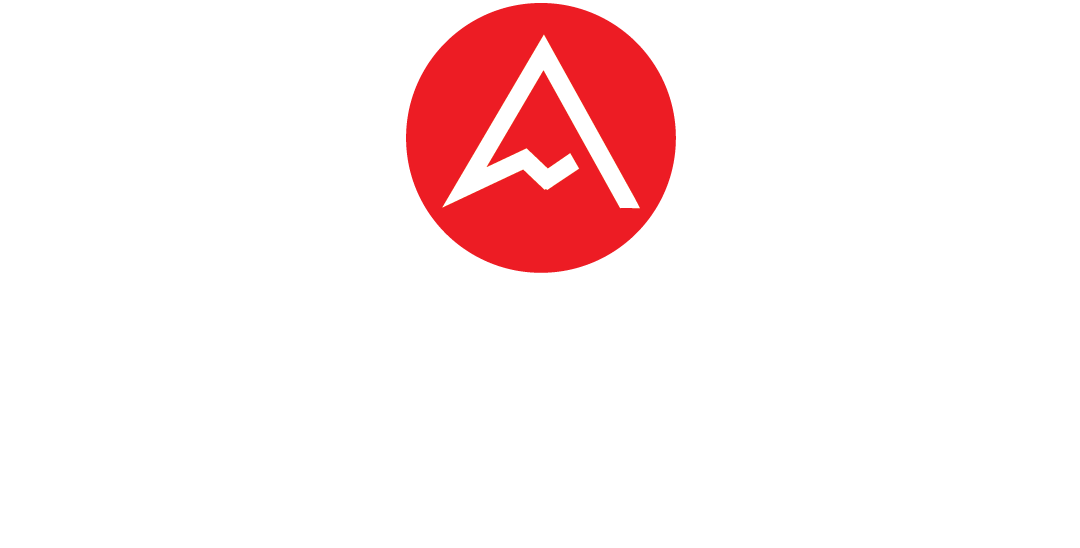 Pinnacle Business Guides