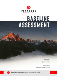 Pinnacle Business Guides Tools - Baseline Assessment - cover