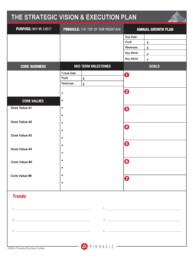Pinnacle Business Guide Tools - Strategic Vision & Execution Plan - sample page